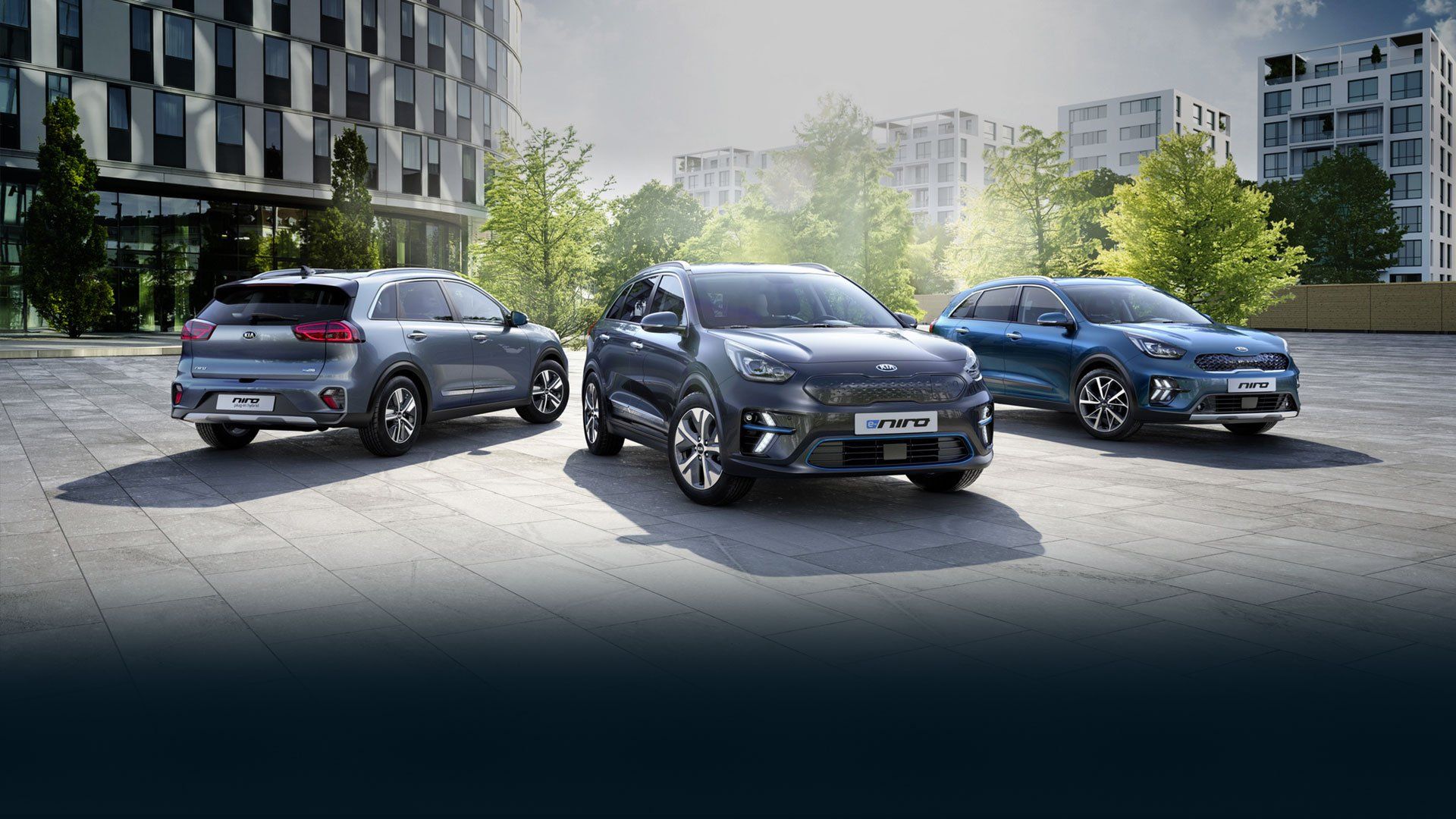 kia motor
