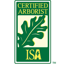 Certified Arborist logo with green oak leaf and ISA in gold on white background