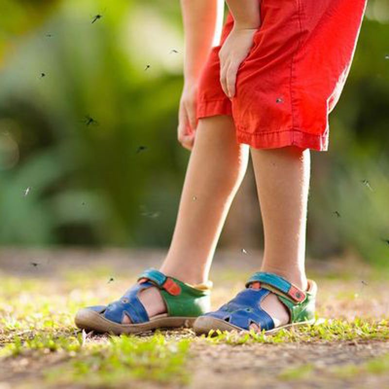 Child’s lower legs in red shorts and blue sandals standing on grass outdoors