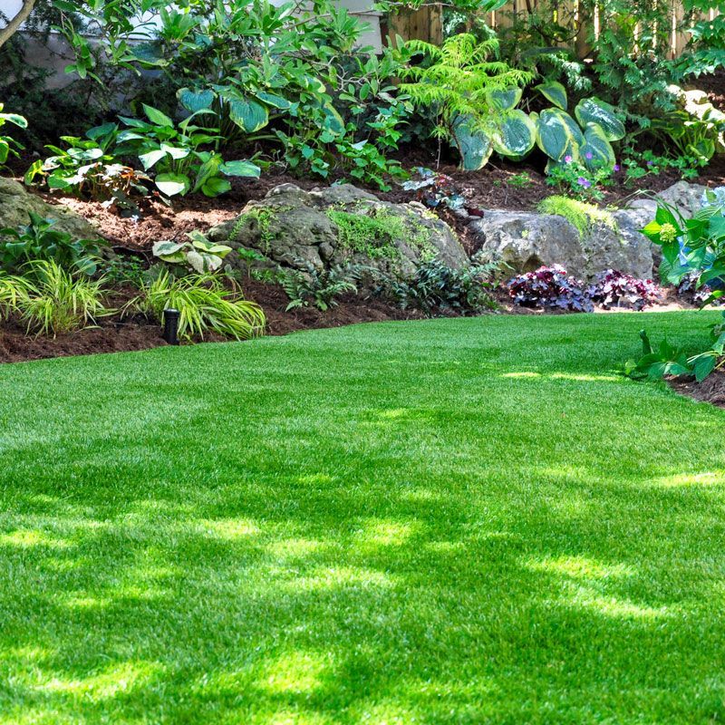 Lush green lawn beside a tropical garden with rocks and large leafy plants
