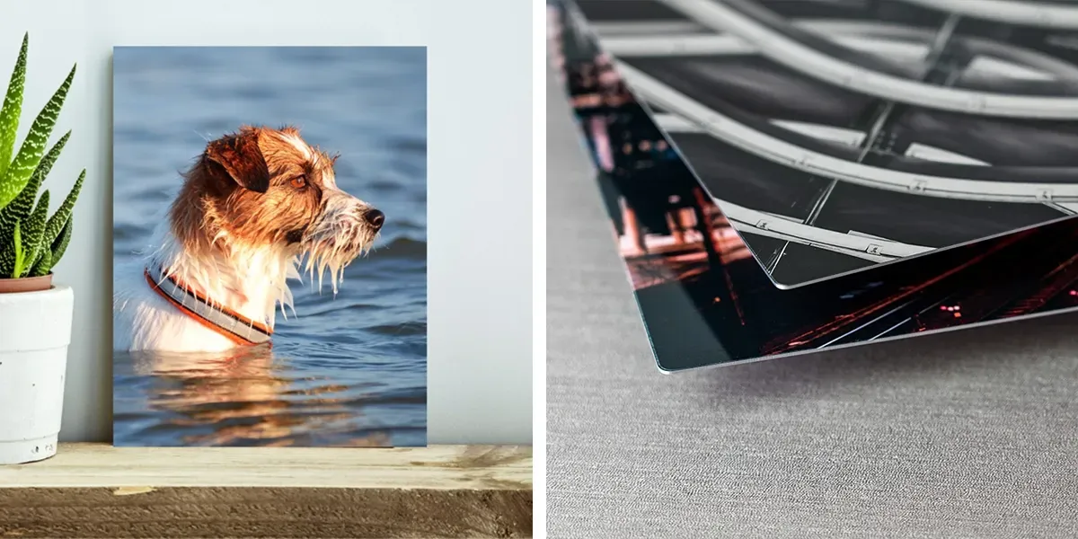 Custom metal print of dog in the water and side shot of aluminum panel