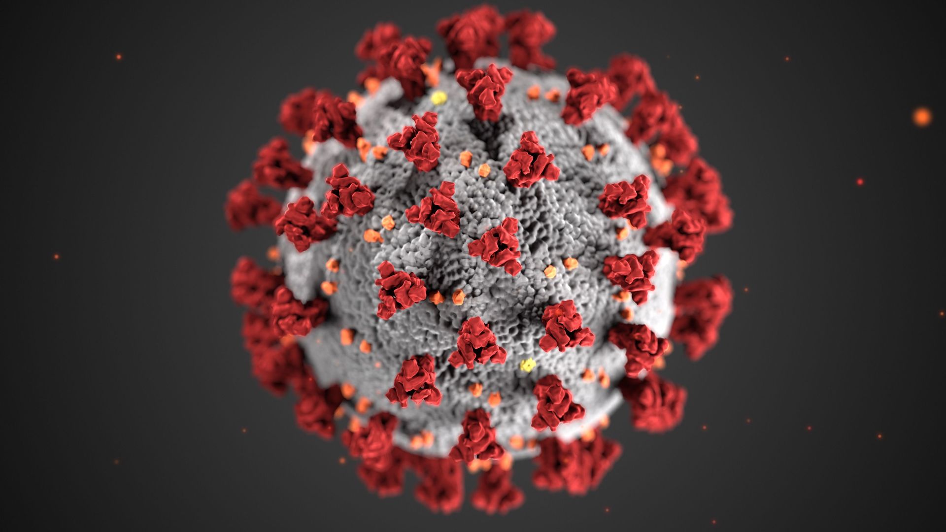 COVID-19 virus upclose.