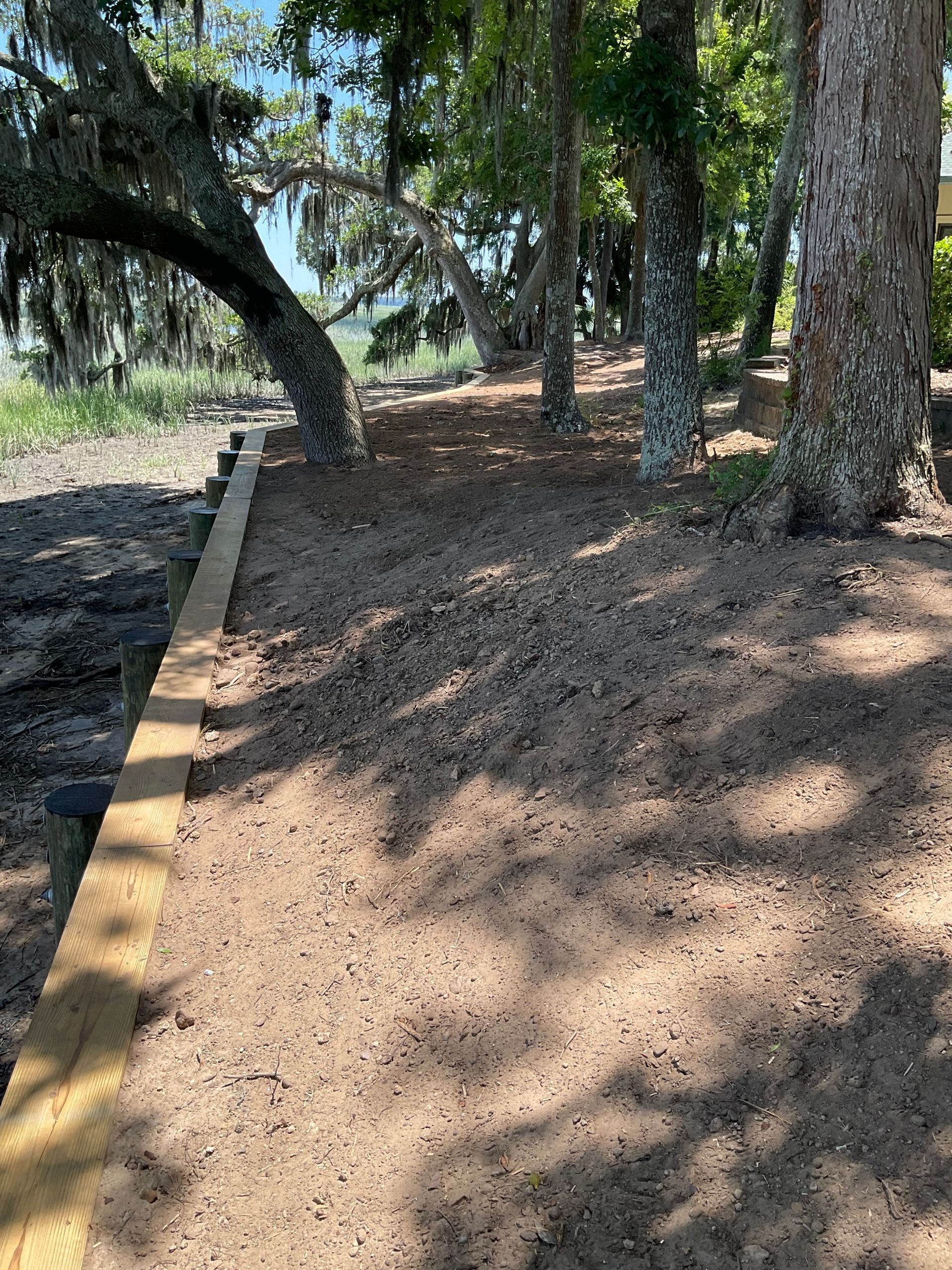 A wooden walkway in the middle of a forest surrounded by trees.