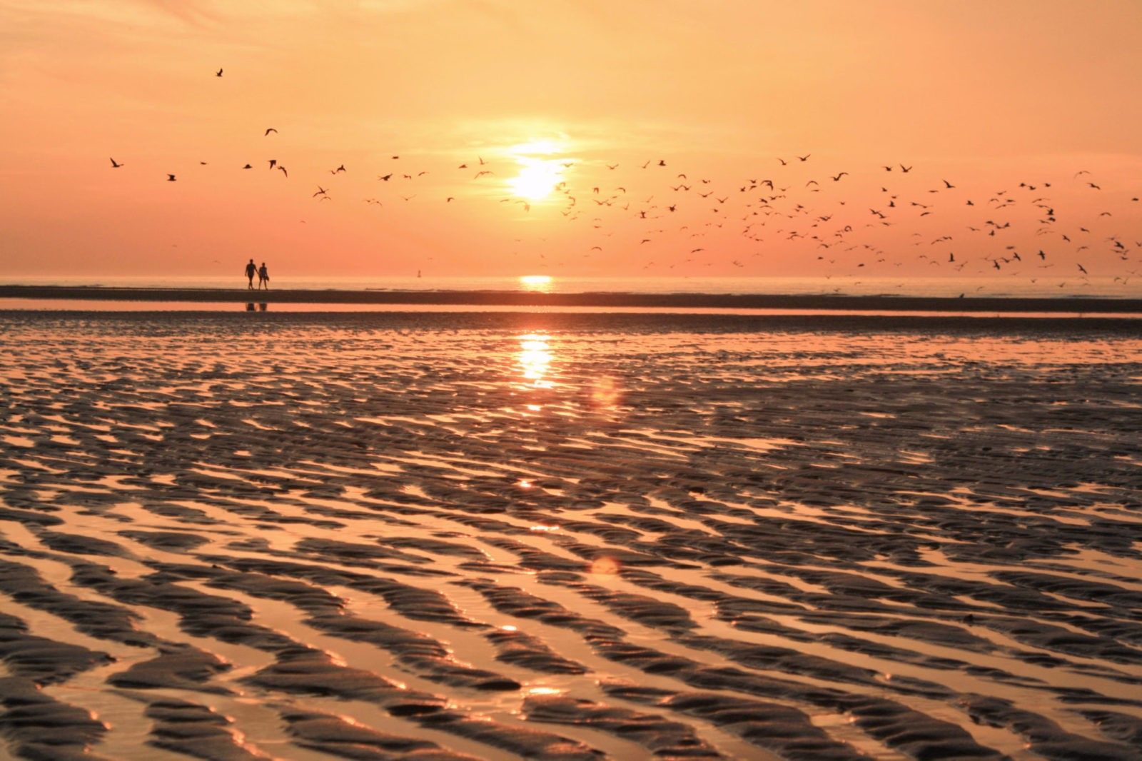 Couché de soleil à la plage sur la Côte d'Opale