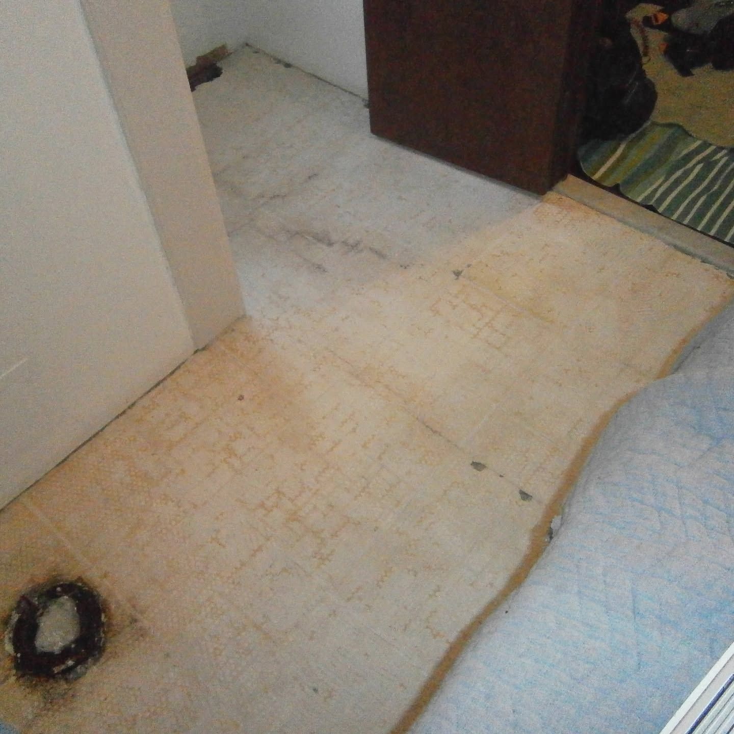 White carpeted hallway corner with a brown door and a bed edge, showing a dark circular stain on the floor.