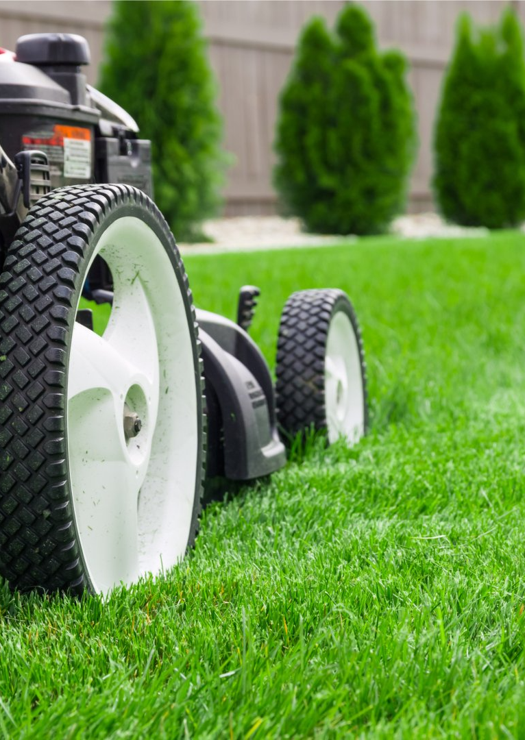 Lawn Care Lawn Care