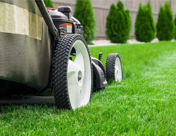 Lawn Care Landscaping in Kitchener, Southern Ontario