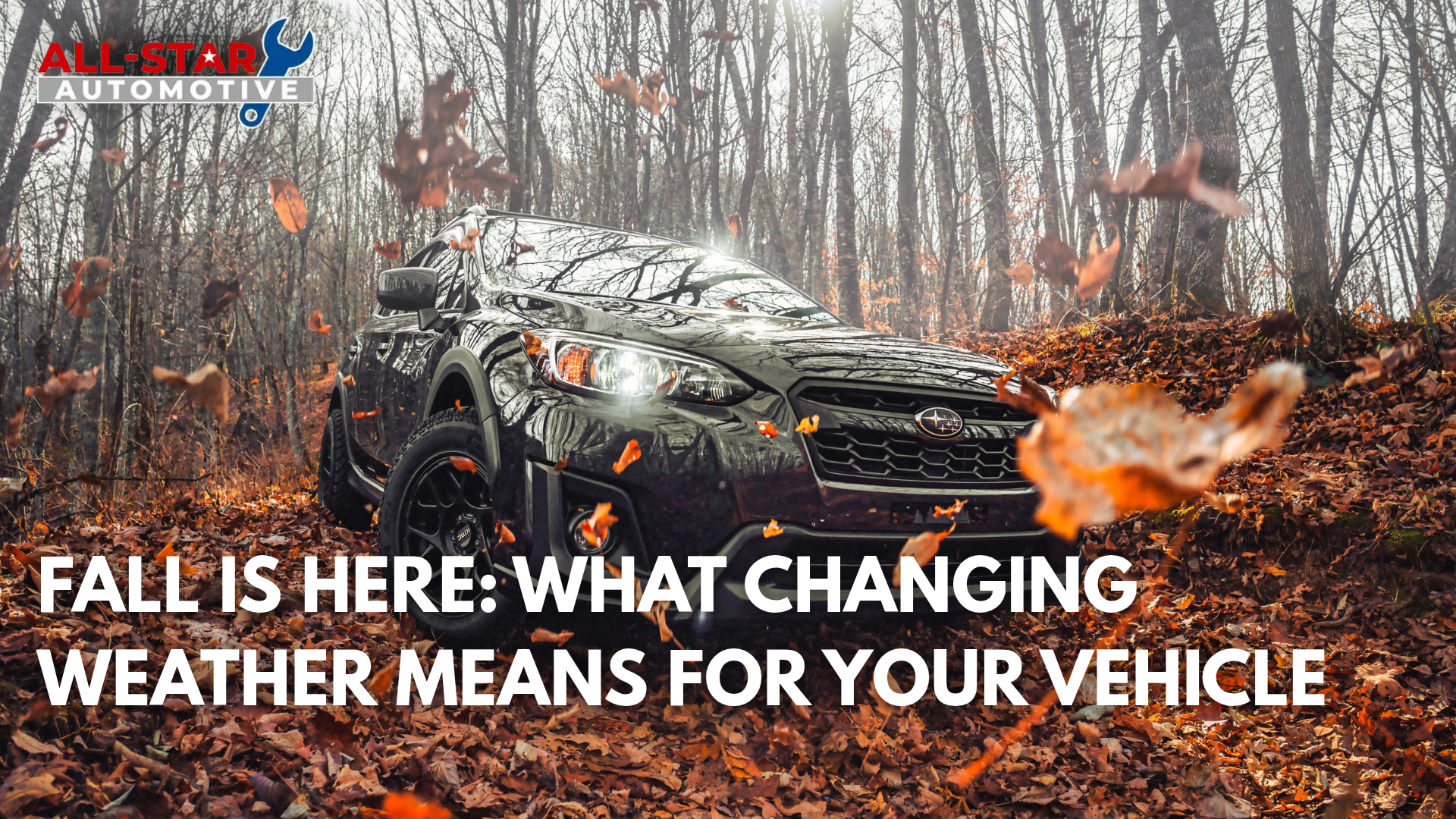 Title of blog with car running through fall leaves. 