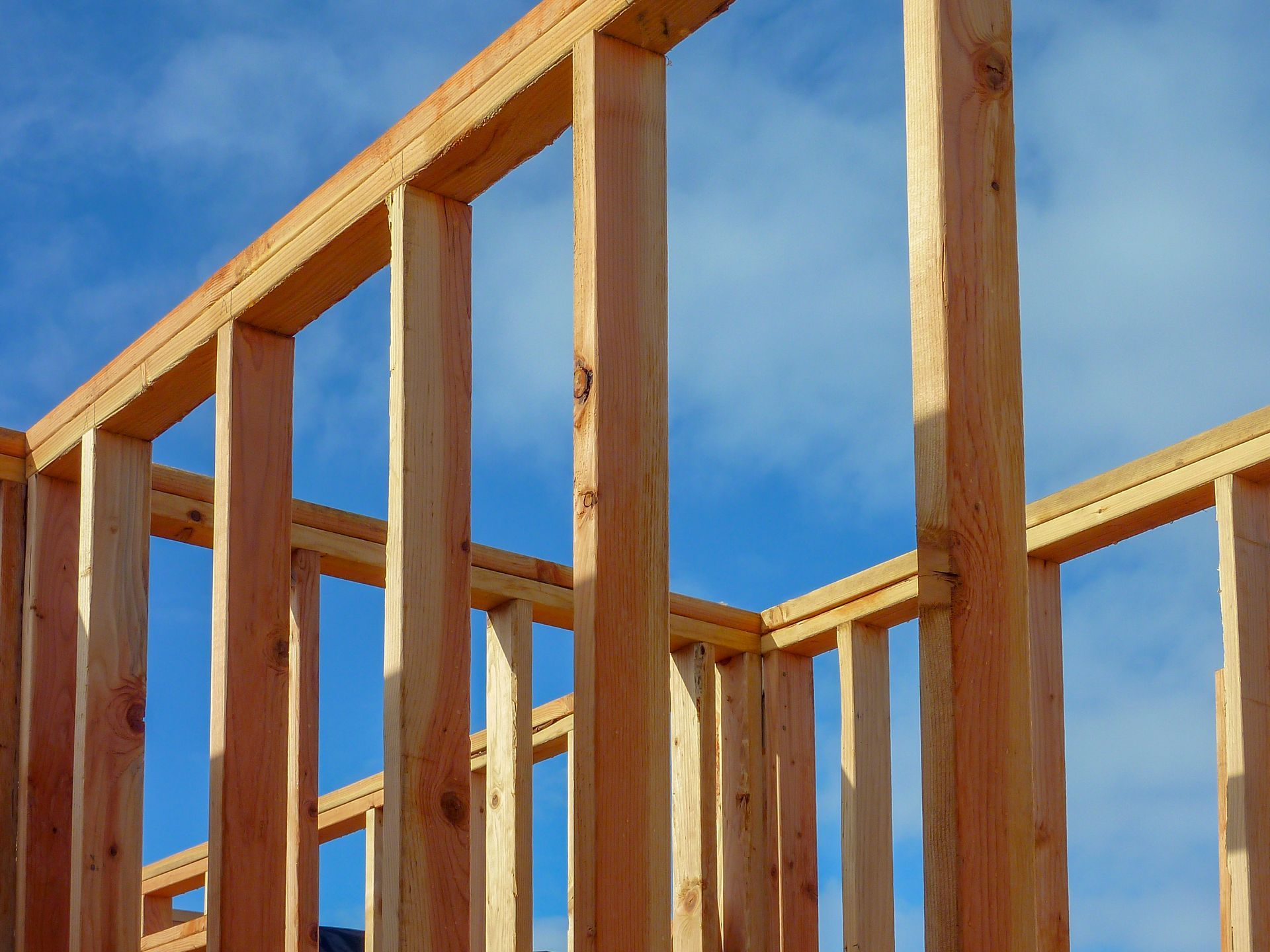 Professional Framers