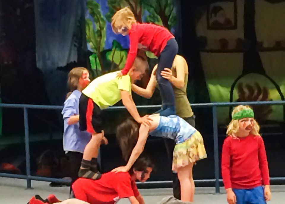 Image of Circus Art Performance