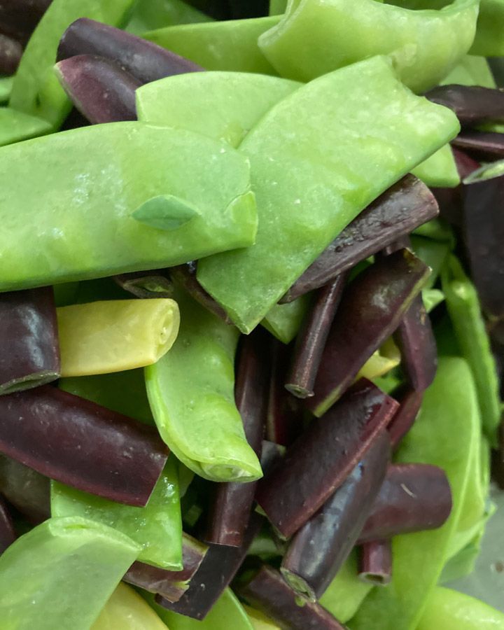 Prepping beans for dinner