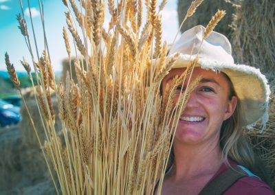Cultivating Heirloom Grain image