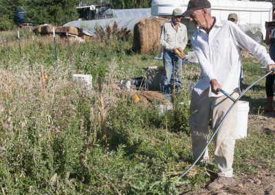 Cultivating Heirloom Grain image