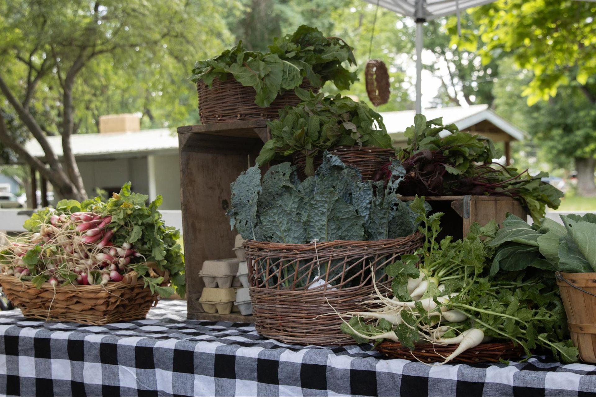 Outdoor market table with woven baskets of leafy plants and succulents on a black-and-white checkered cloth