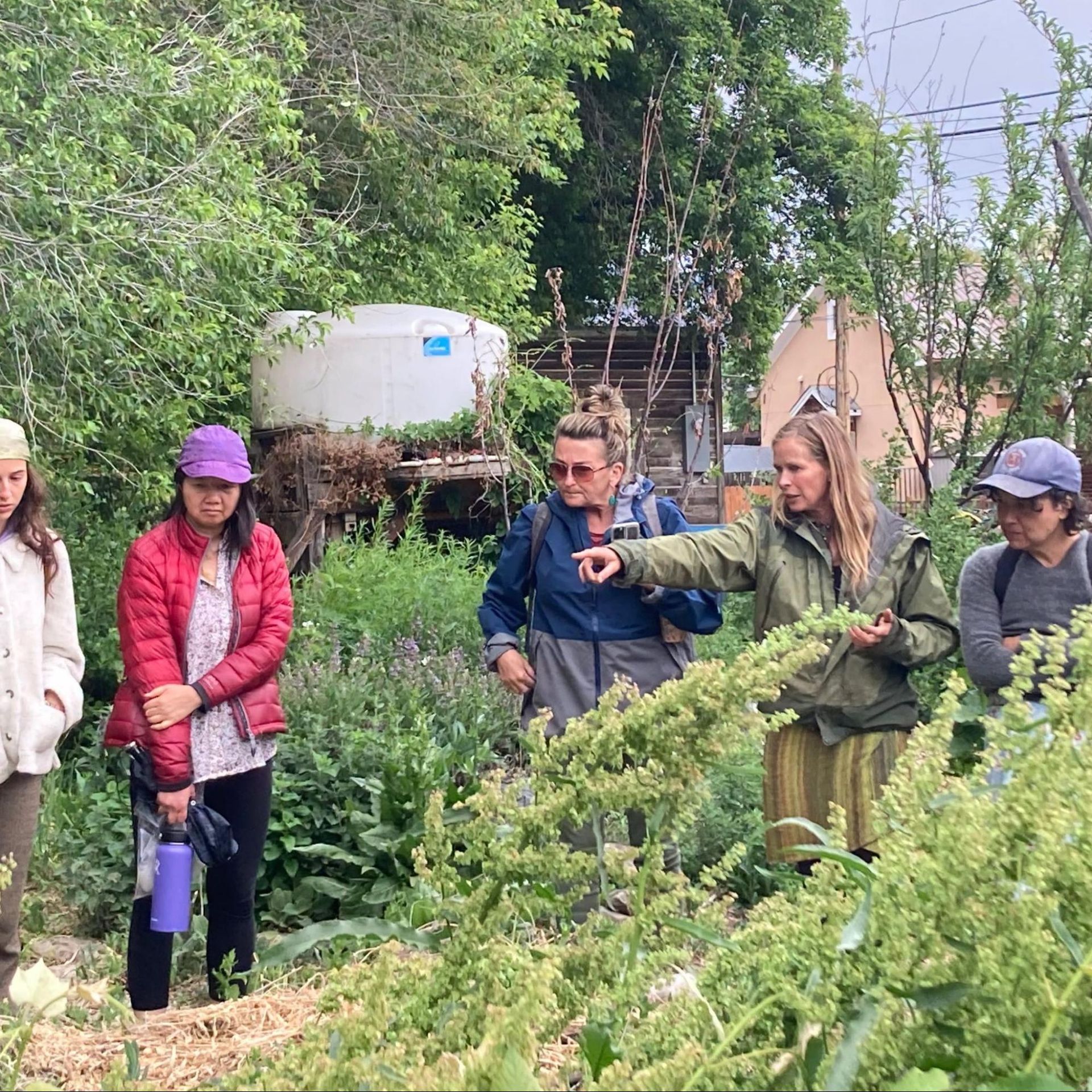 Group of people in a lush garden listening to a guide pointing at plants.