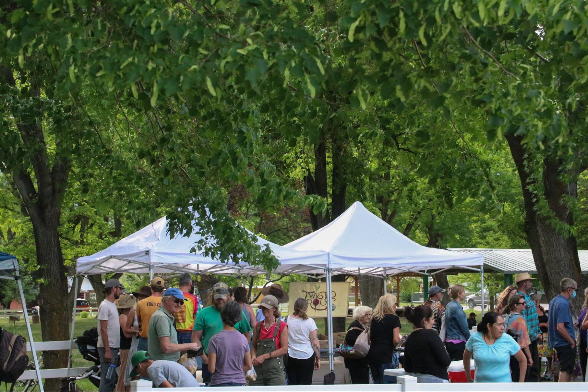 People gathered at an outdoor market under white tents in a leafy park.