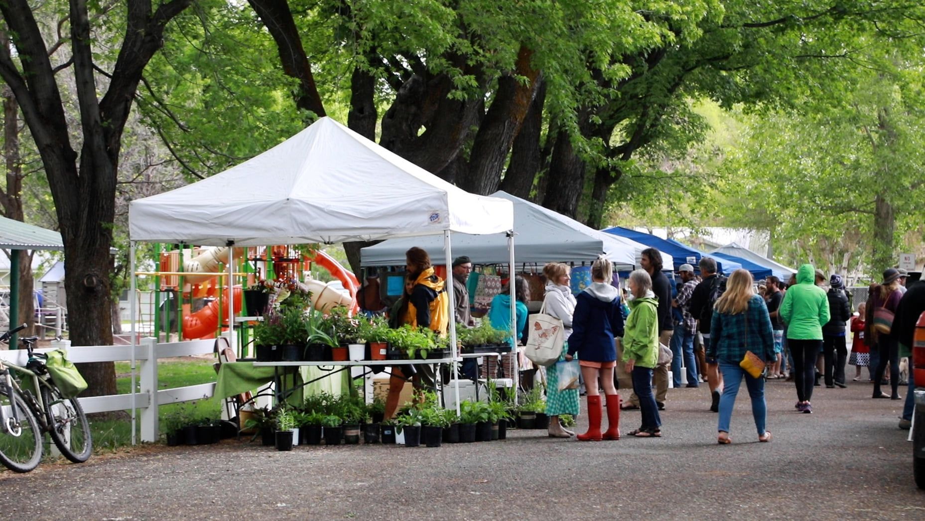 Outdoor market stalls under white tents along a tree-lined path, with people browsing plants and goods