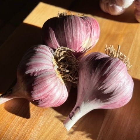 Three garlic bulbs with pink-purple skins on a wooden cutting board in sunlight