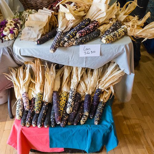 Bundles of multicolored dried corn arranged on tables at a market stall