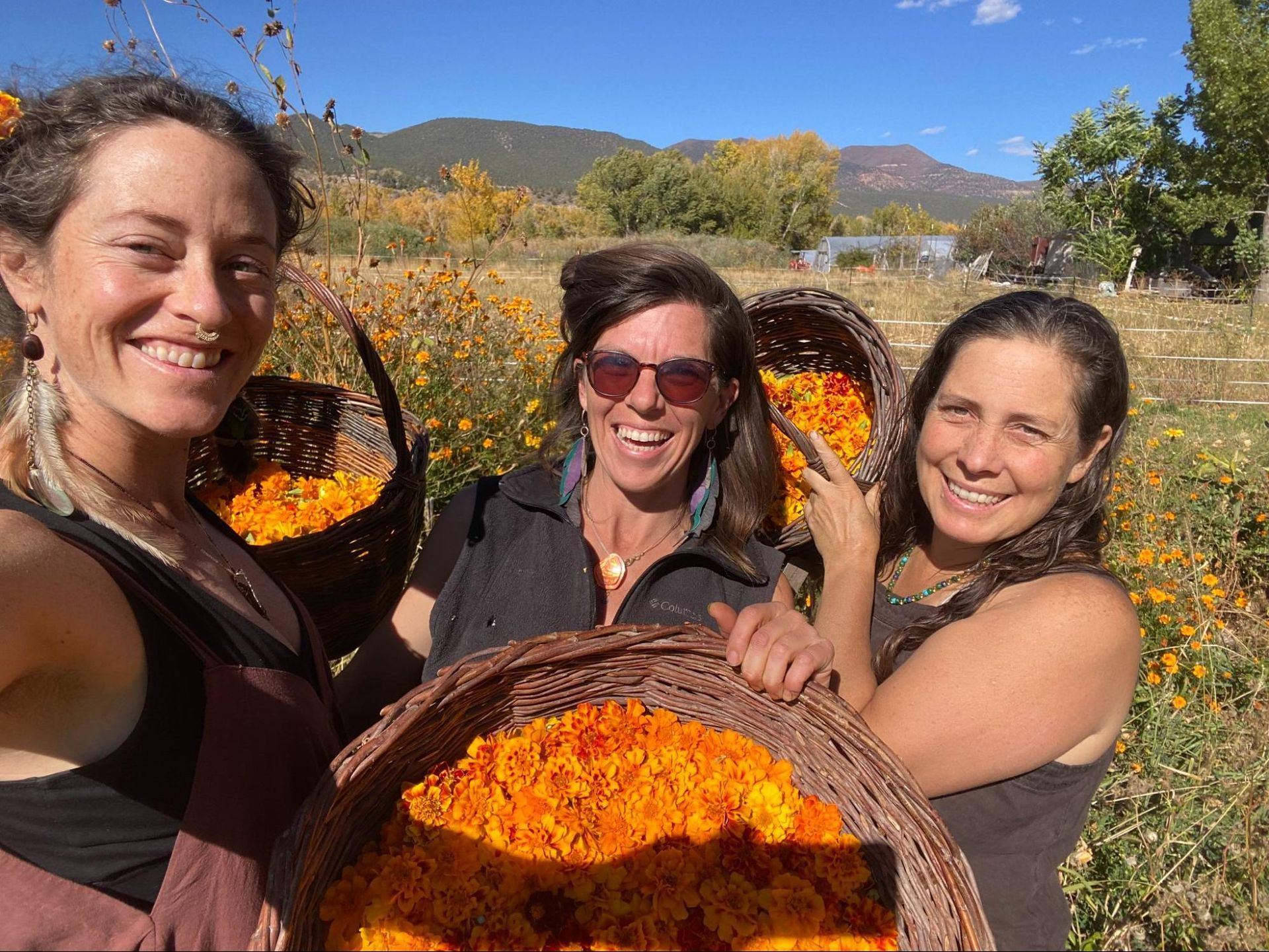 Three people smile beside large baskets of bright orange harvest in a sunny orchard with mountains behind them