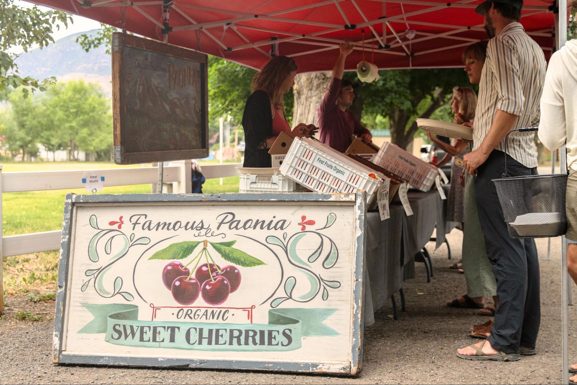 Roadside sweet cherry stand under a red canopy with two vendors and a sign reading “Sweet Cherries”