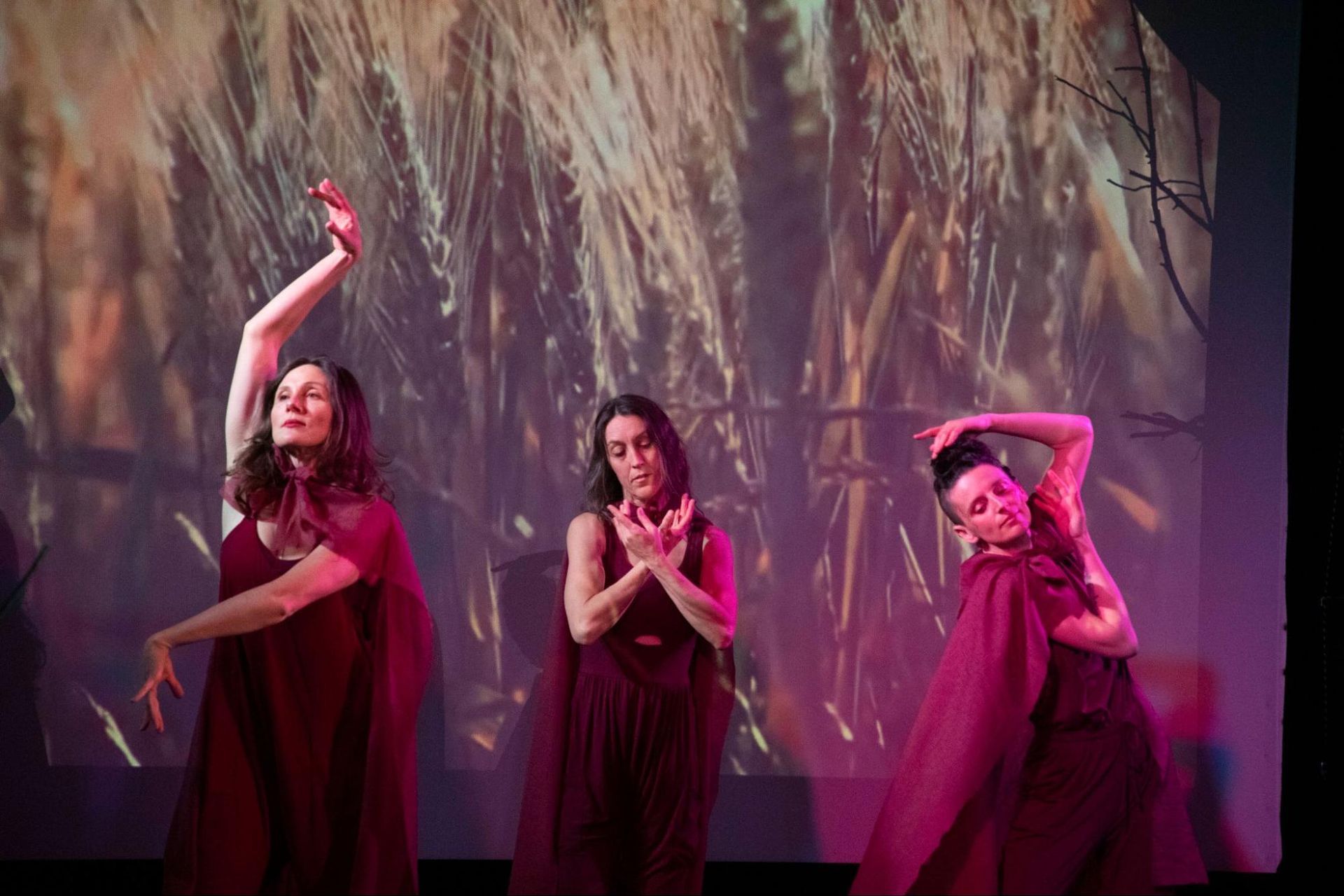 Three dancers in red costumes pose on a stage with a forest backdrop.