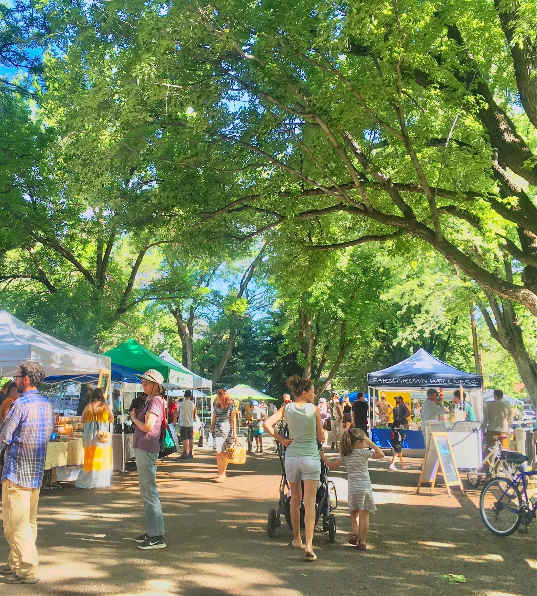Outdoor market under leafy trees with people browsing colorful vendor tents on a sunny day