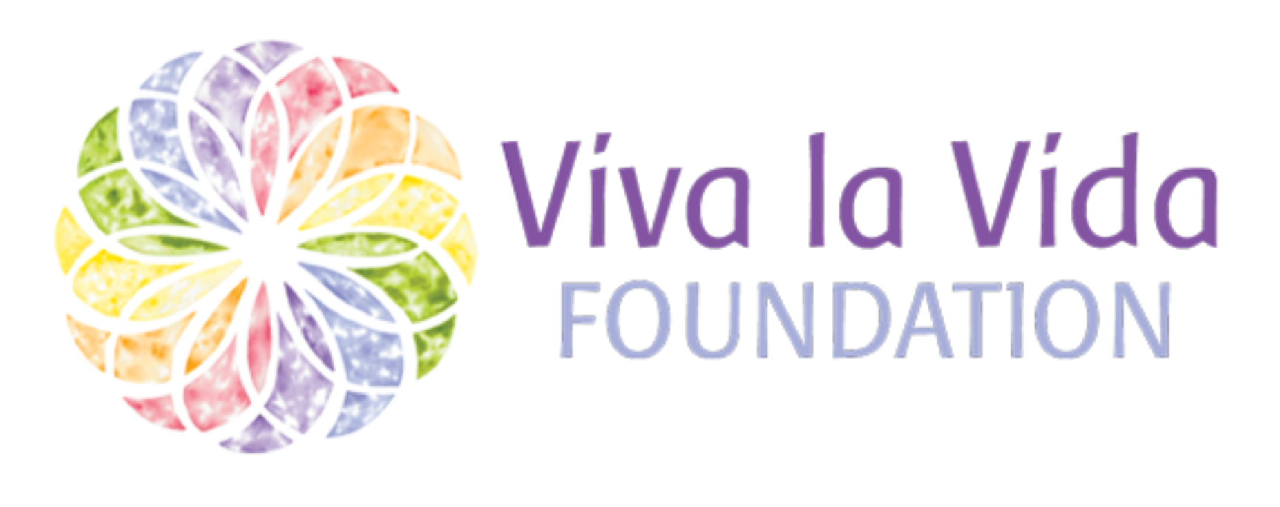 Viva la Vida Foundation logo with a multicolored flower emblem and purple text
