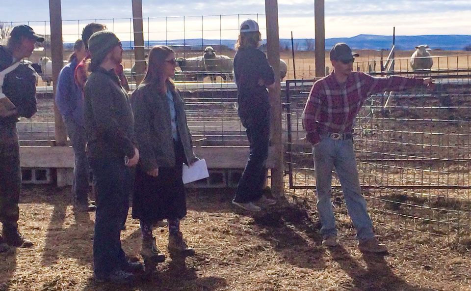 Livestock Infrastructure image