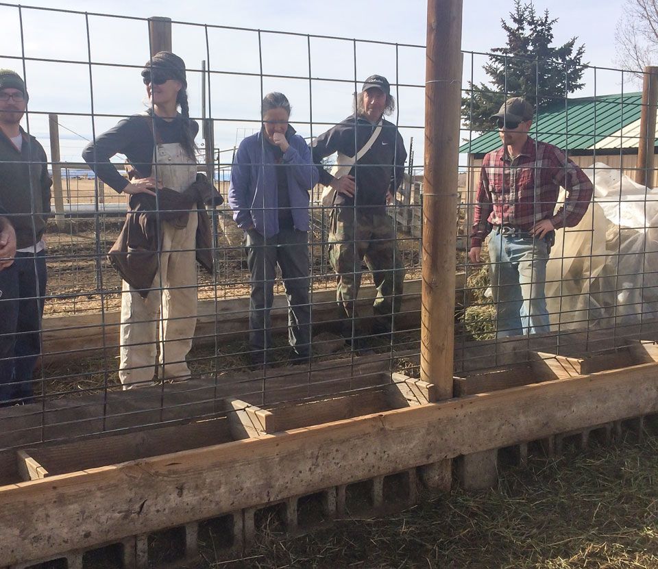 Livestock Infrastructure image