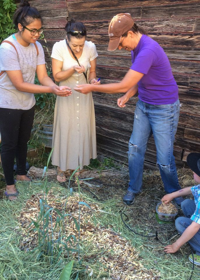 Mushroom Cultivation Class image