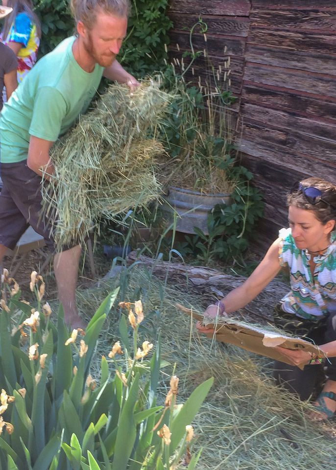 Mushroom Cultivation Class image