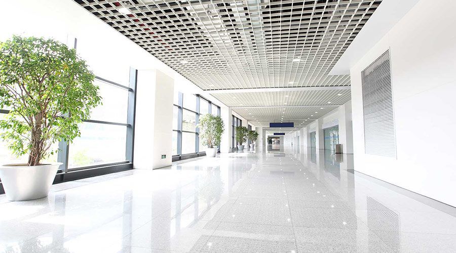 A long hallway with a lot of windows and a plant in the middle.