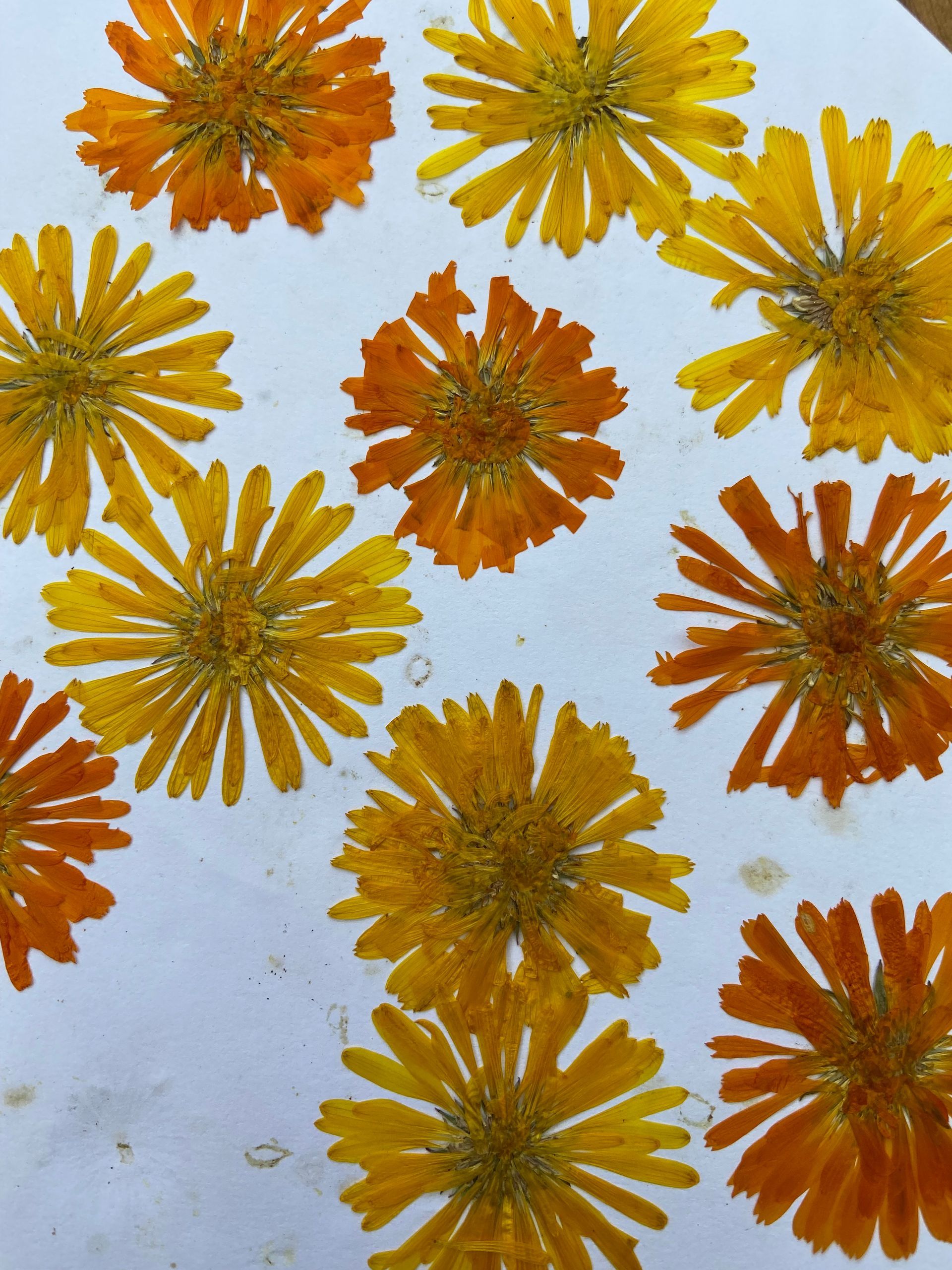 A bunch of yellow and orange flowers on a white surface