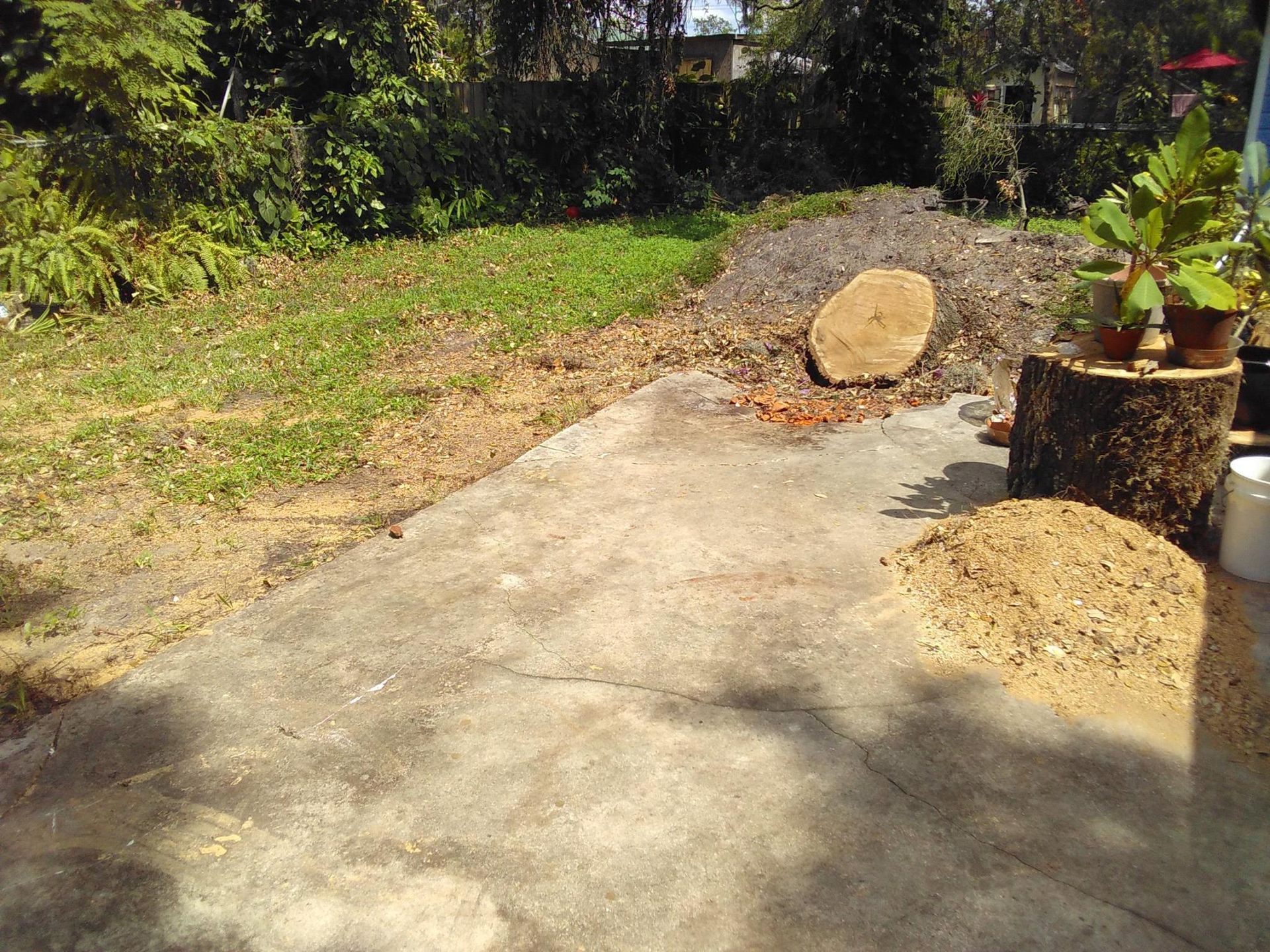 A concrete walkway with a tree stump in the middle of it