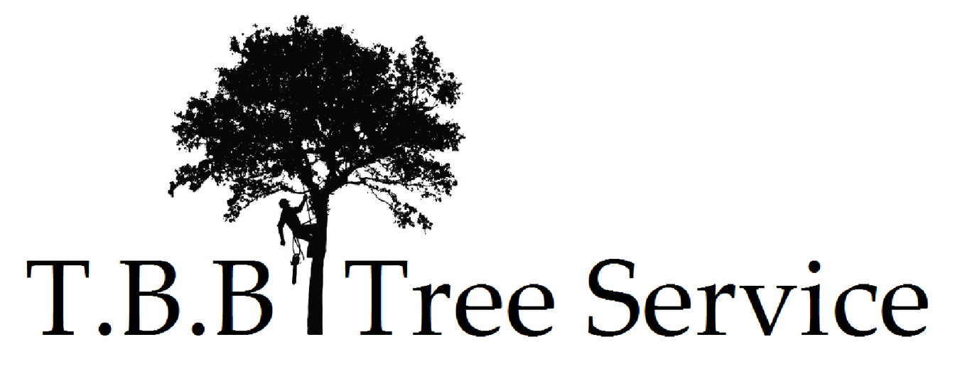 A black and white logo for t.b.b. tree service