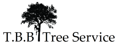 A black and white logo for t.b.b. tree service