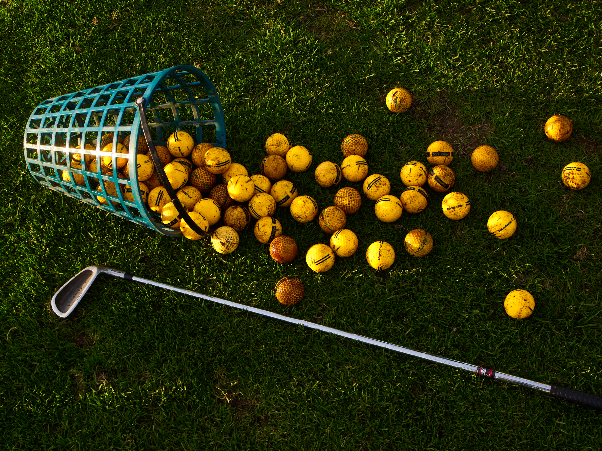 Golf balls spilled from a blue wire basket onto green turf beside a golf club.