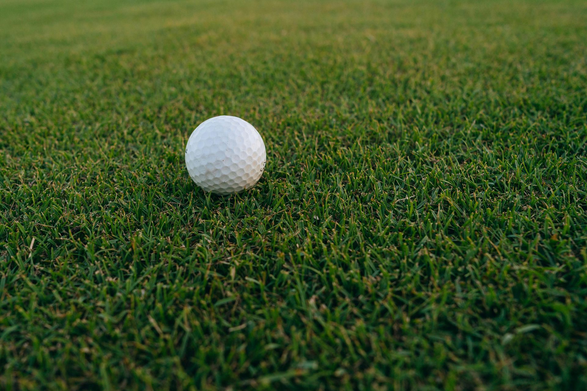 Golf ball on green grass course