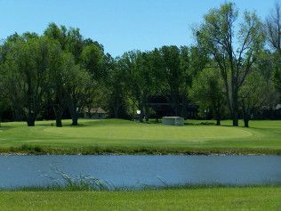 Grassy park with a pond in front and tall green trees under a clear blue sky