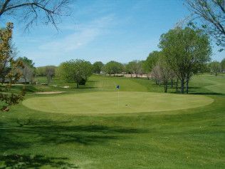 Golf course green with trees under a clear blue sky