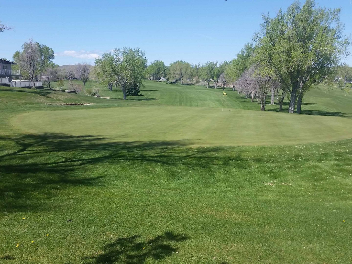 Sunny green golf course with trees and a blue sky