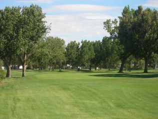 Green park with trees and a grassy field under a partly cloudy sky
