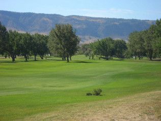 Green golf course with trees and distant mountains under a clear blue sky