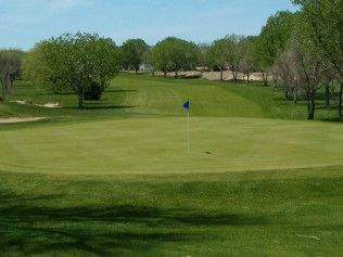 Golf course green with blue flagstick, surrounded by trees under a clear sky