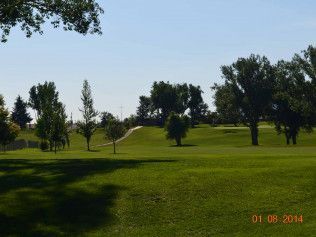 Sunny green park with scattered trees and a grassy hill under a clear blue sky