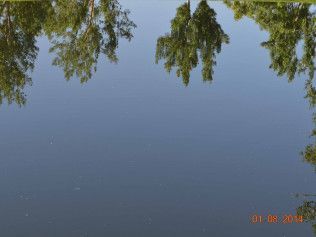 Still lake reflecting green trees along the shore under a blue sky