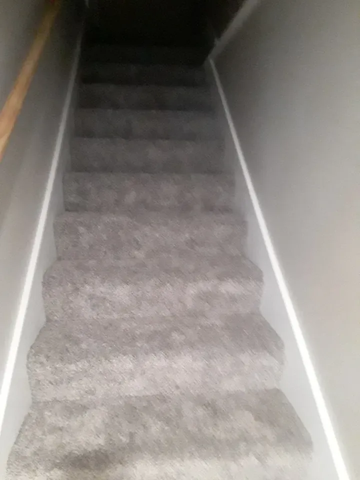 A set of stairs leading up to a basement with a carpeted floor.