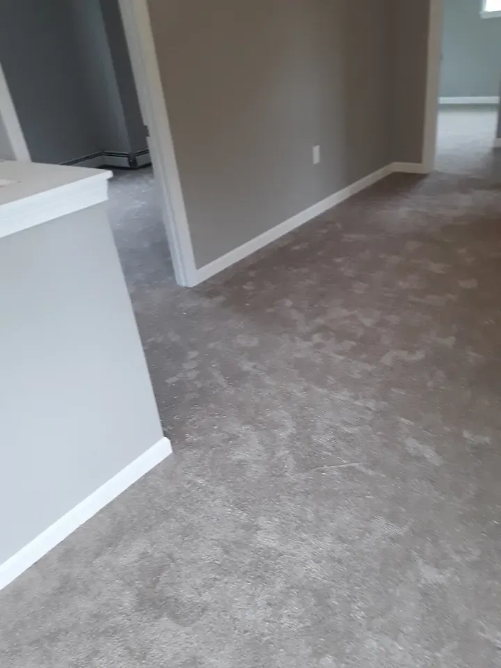 A hallway with a carpeted floor in a house.