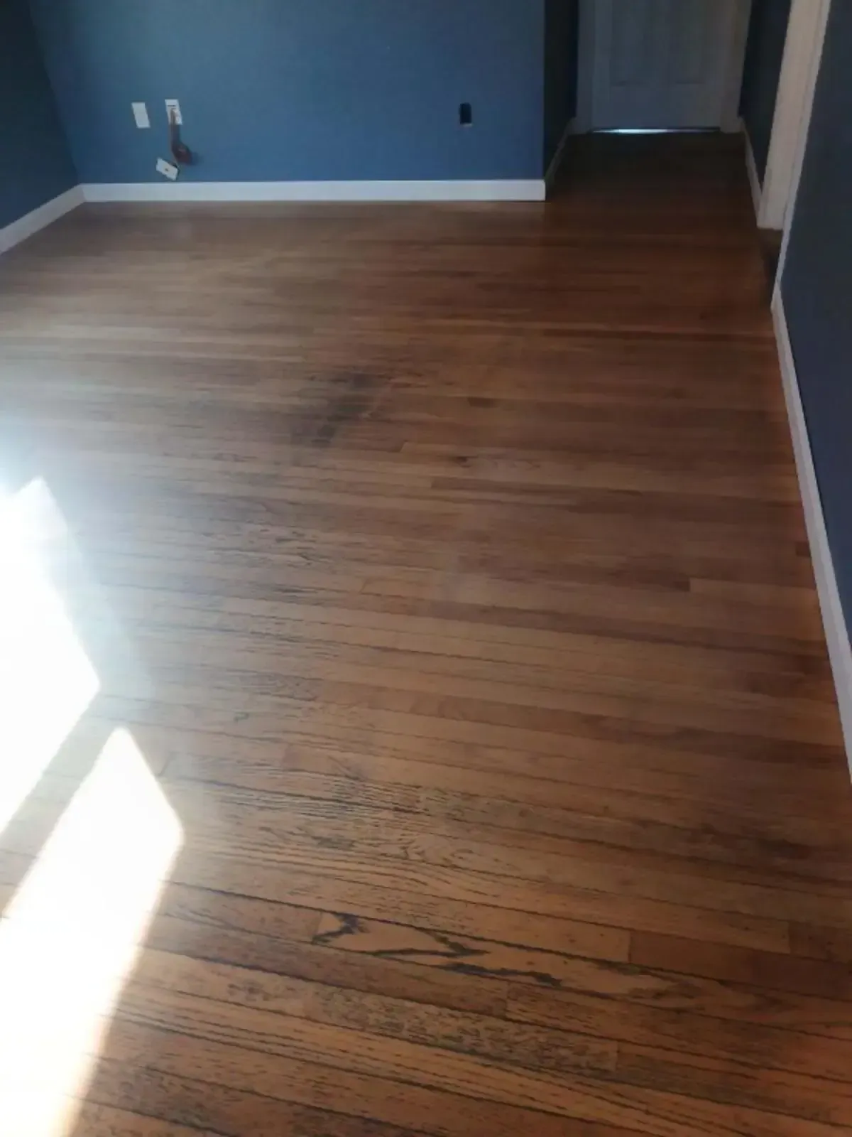 A living room with hardwood floors and blue walls.